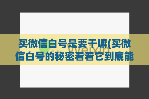 买微信白号是要干嘛(买微信白号的秘密看看它到底能干什么)