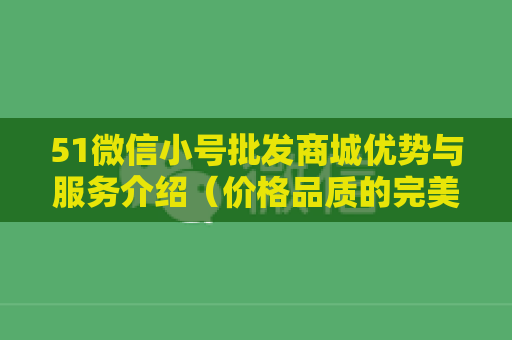 51微信小号批发商城优势与服务介绍（价格品质的完美结合）