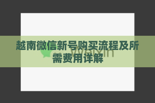 越南微信新号购买流程及所需费用详解